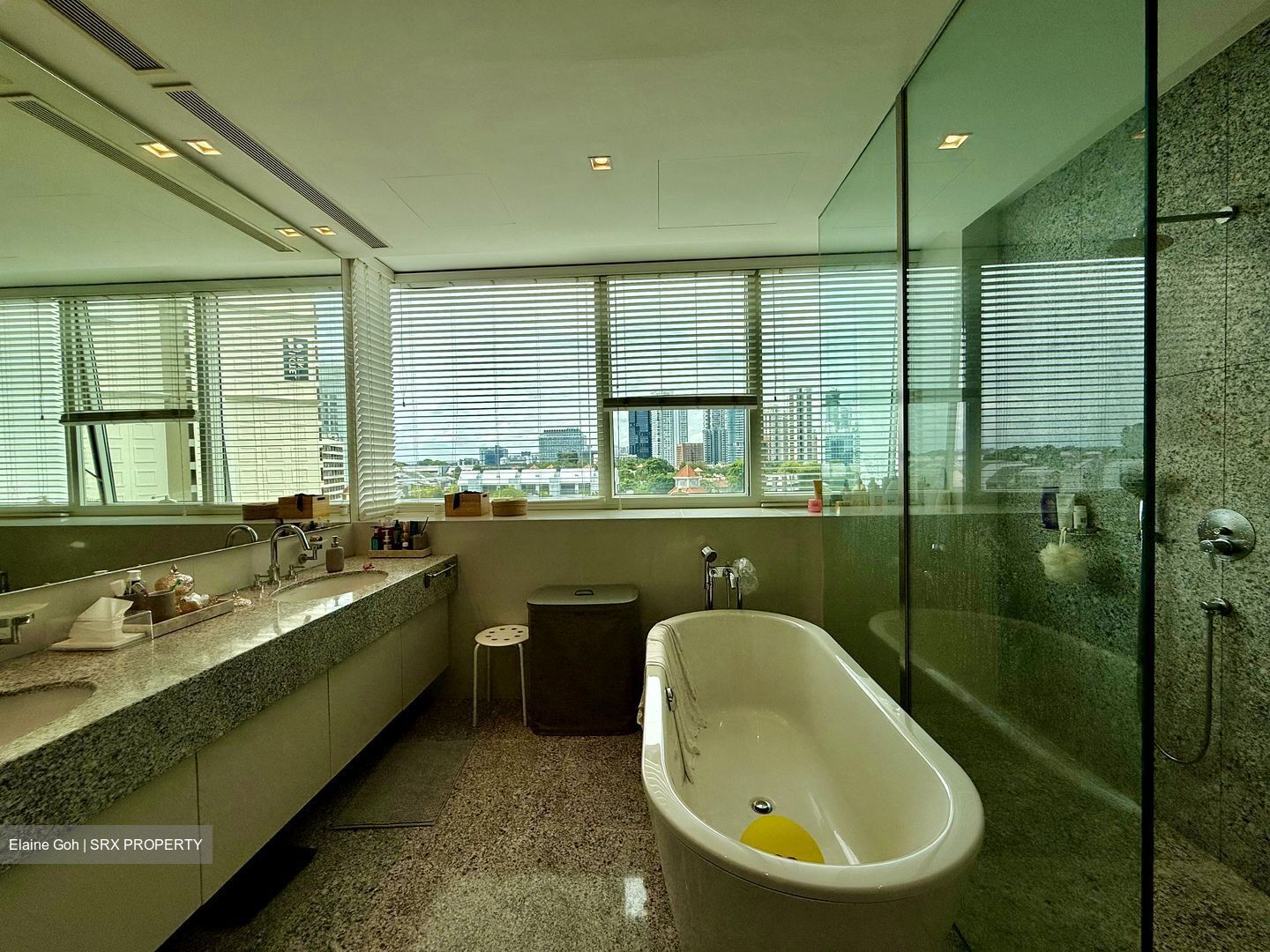 Grange Residences (D10), Condominium #570470581